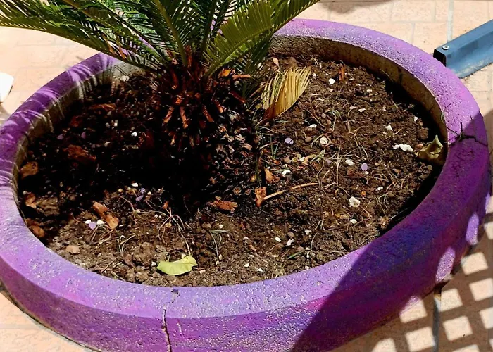 Casa Viola 度假居 特拉帕尼